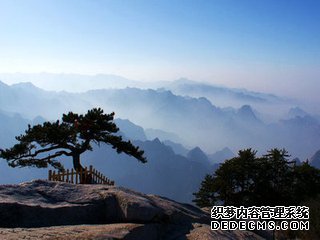 <b>�����ھ�̸</b>