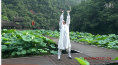 �䵱̫����������--����