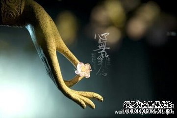 Ц����õ�������������