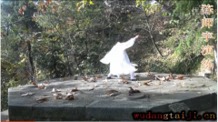 �䵱������