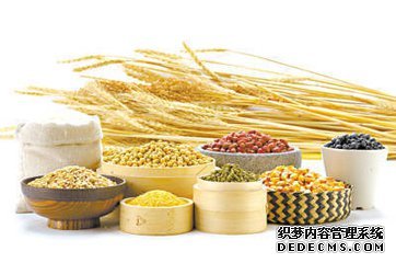 <b>�Ŵ�������������</b>