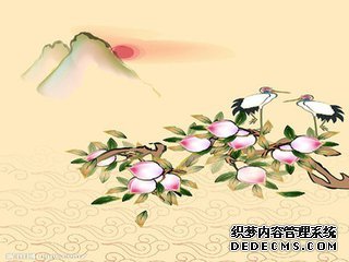 <b>��Ů���о��䷿����</b>