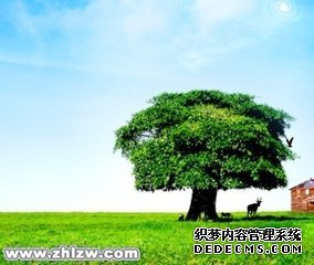 <b>ʮȰ����</b>