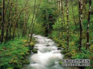 <b>��������4Ҫ��</b>