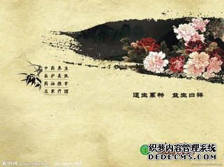 ��ҽ�ۣ�����˯����