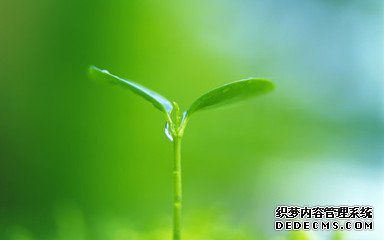 <b>����ƣ�͵����ҵ���</b>