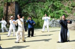 ѧԱ̫��ʮ���Ʒ��