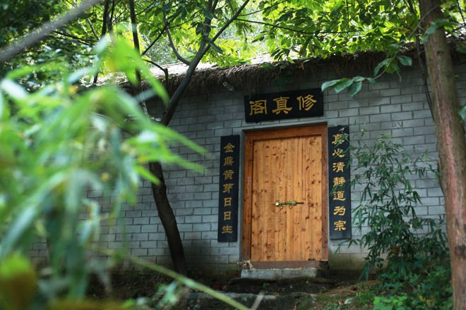 �䵱���������������