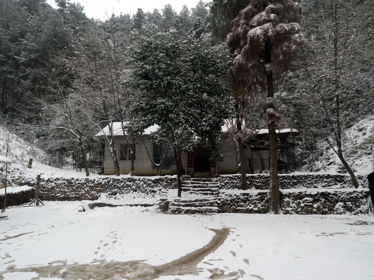 �䵱����������ѩ��