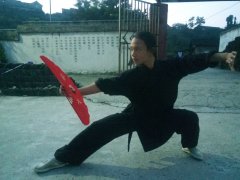 <b>��������</b>