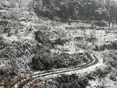 <b>�μ�12����ѧ�䵱��ͬѧ����ע��.........</b>